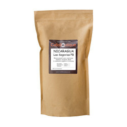 Nicaragua Las Segovias Peaberry