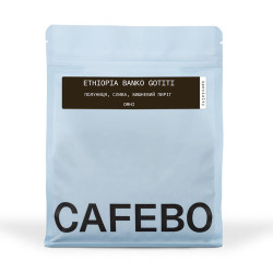 Ethiopia Banko Gotiti