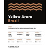 Brazil Yellow Arara 1