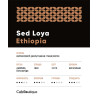 Ethiopia Sed Loya 1