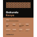 Kenya Gakundu