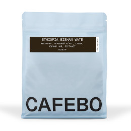 Ethiopia Bishan Wate