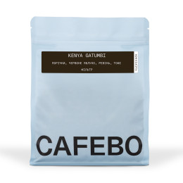 Kenya Gatumbi