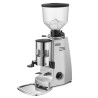 Mazzer Major Manual